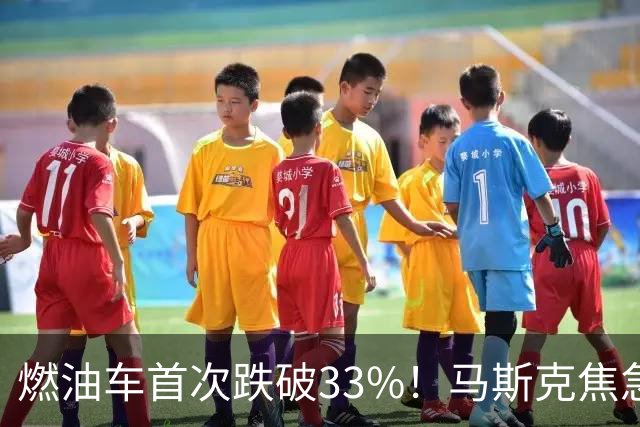 燃油车首次跌破33%！马斯克焦急发声：中国对石油依赖正加速下滑