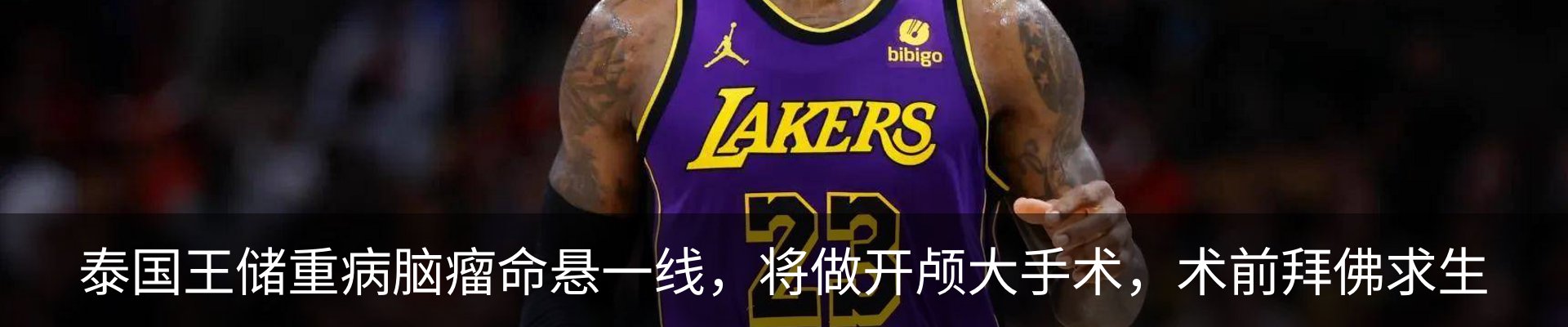 最新动态