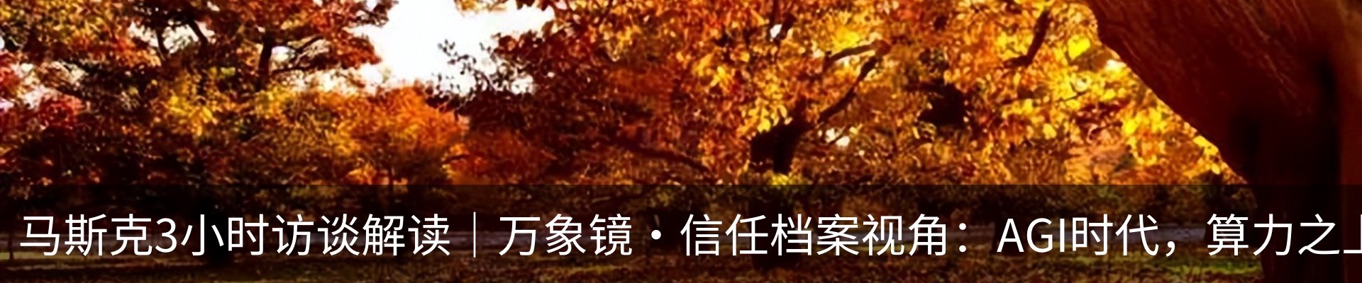 最新动态